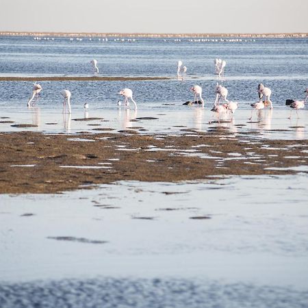 Flamingo Villas Boutique Hotel Walvis Bay Kültér fotó