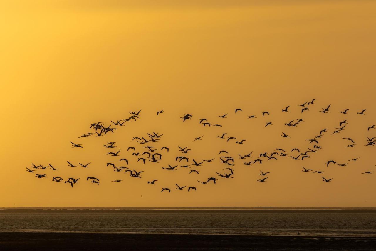 Flamingo Villas Boutique Hotel Walvis Bay Kültér fotó