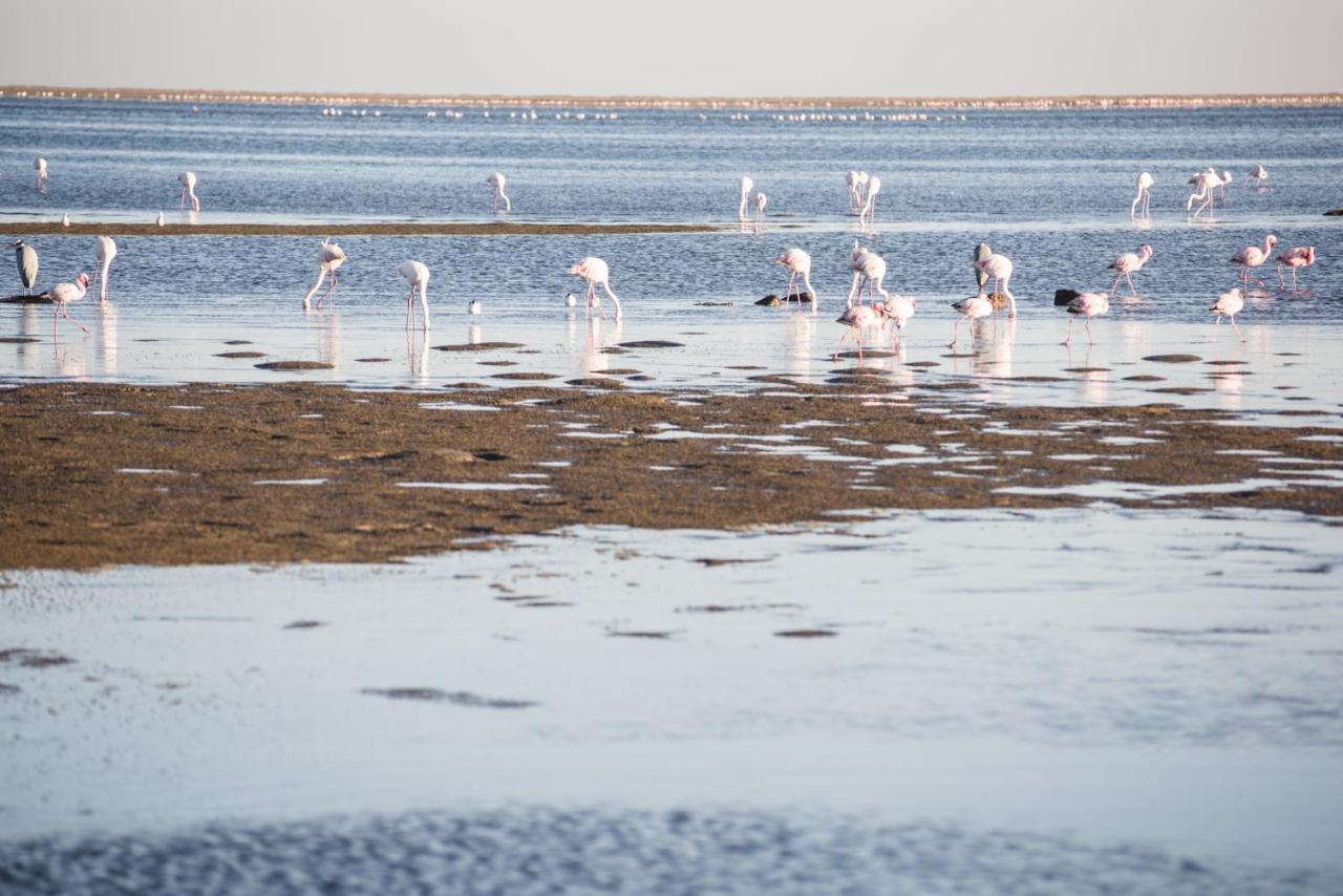Flamingo Villas Boutique Hotel Walvis Bay Kültér fotó