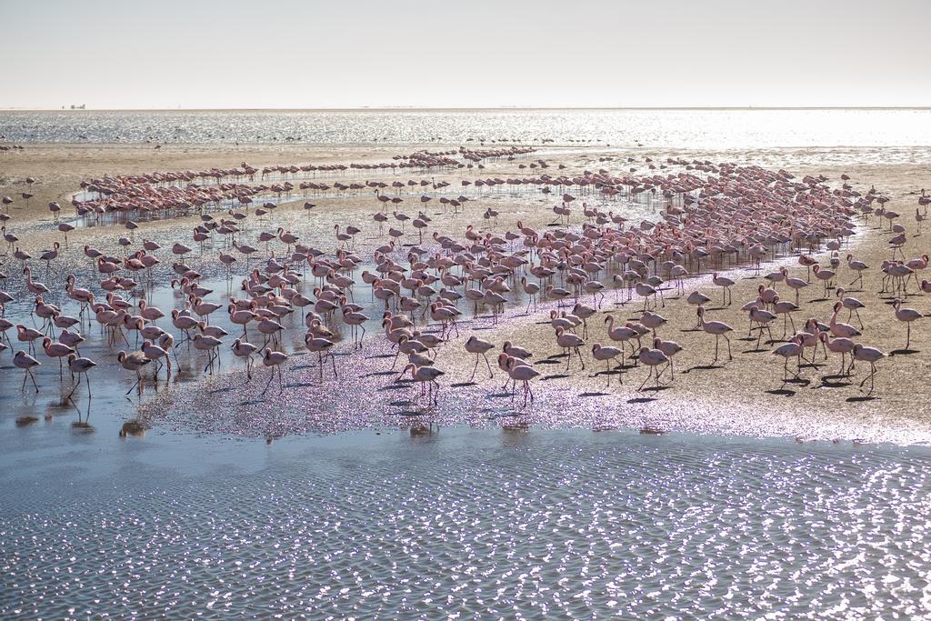 Flamingo Villas Boutique Hotel Walvis Bay Kültér fotó